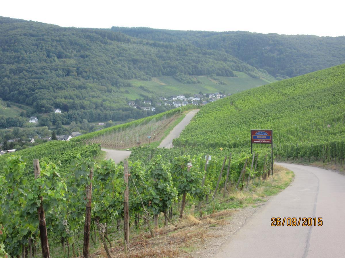 Ferienwohnung "Edeltrud Deluxe Moselblick" Verbandsgemeinde Verbandsgemeinde Bernkastel-Kues Buitenkant foto